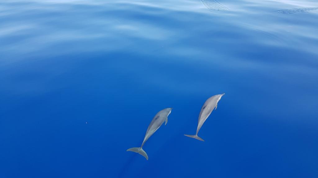 Beach Star Maldives Hangnaameedhoo ภายนอก รูปภาพ